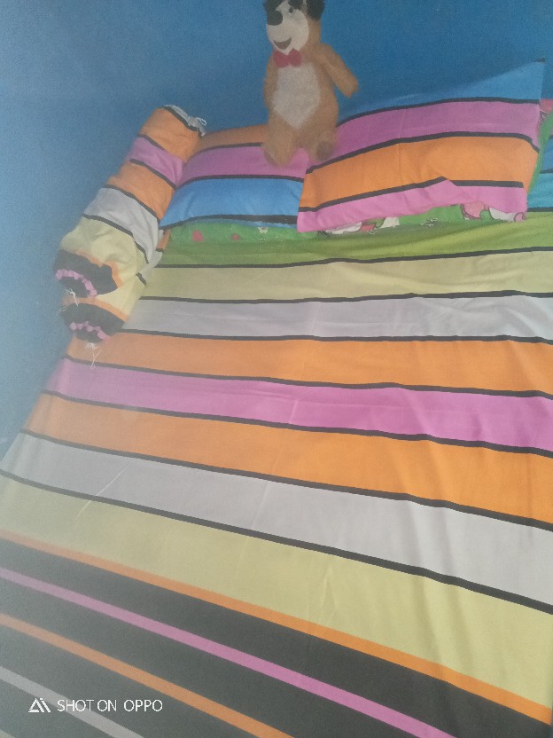 Sprei Homemade Sprai Motif Rainbow Flaminggo Lol