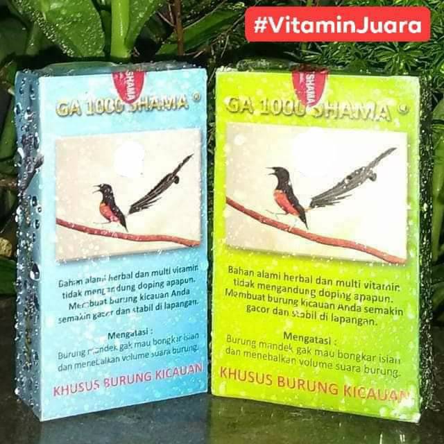 Ga 1000 Shama Vitamin Burung Murai Kacer Ijo Ukuran Standar
