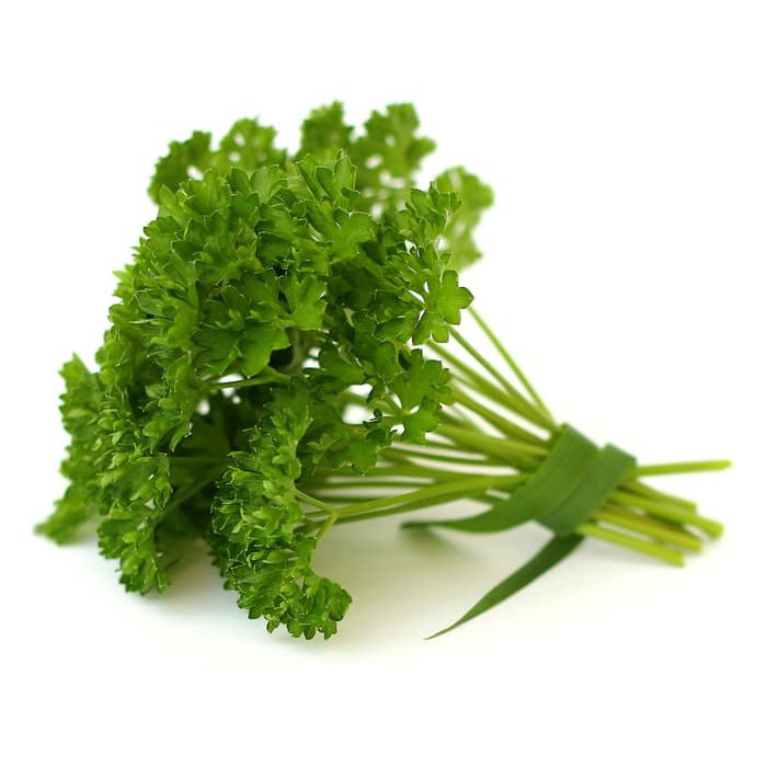 

Daun Parsley 1 Ikat - 50 Gr