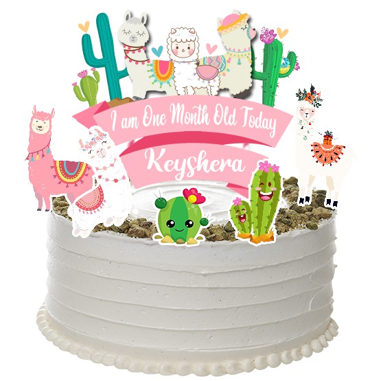 Alpaca Topper Cake Birthday / Hiasan Kue Ulang Tahun