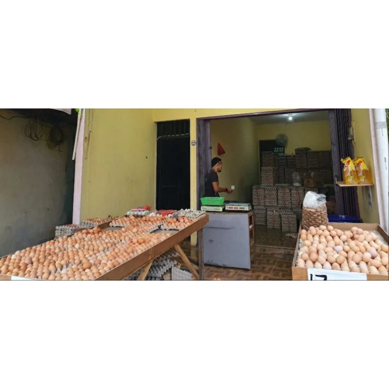 Fresh EGGS / Telur Ayam Segar / Telur Ayam Negeri 1 peti
