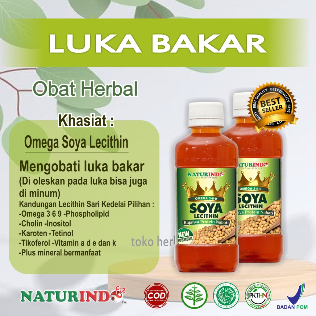 obat herbal luka bakar  luka terkena knalpot herbal ampuh