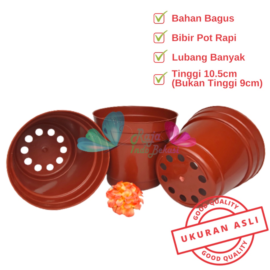 Pot 12 Cm Merah BataTerracota Terracotta Merah Coklat Polos - Pot 12 Hitam Kecil Mini Minimalis Plastik Kaktus Sukulen Mini Murah Pot Bibit Pembibitan