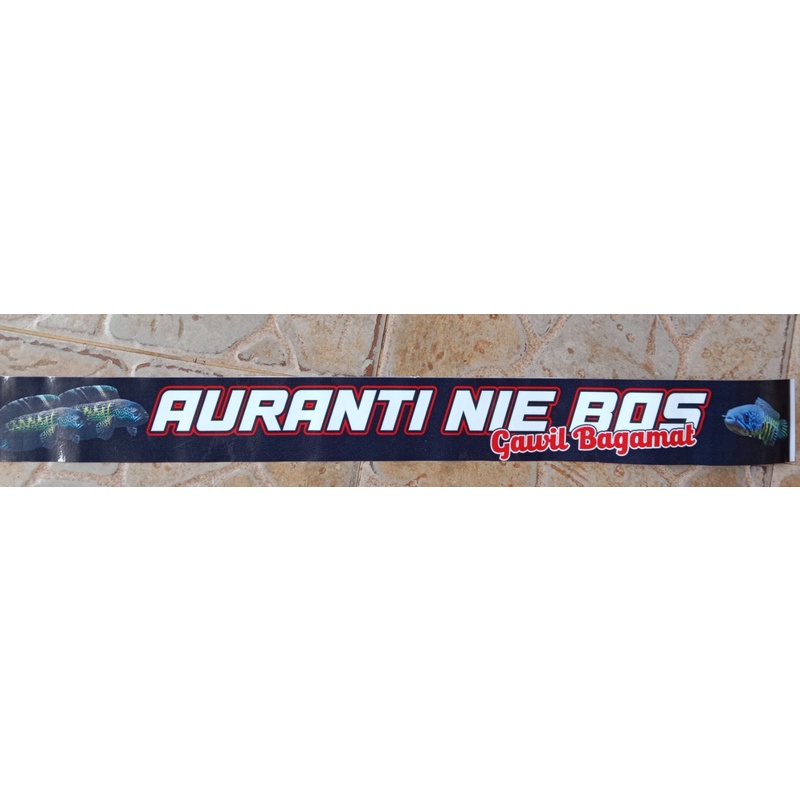 stiker sticker list aquarium akurium/tank motif auranti 60cm x 6cm