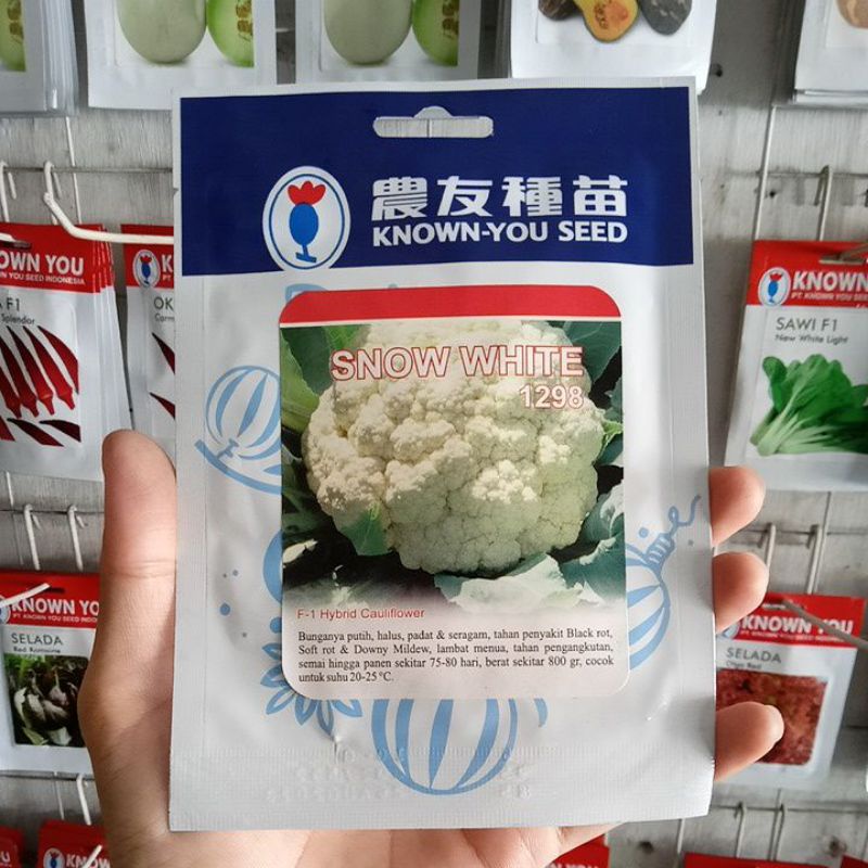 Benih Kol Bunga Dataran Rendah Snow White Isi 10 gram