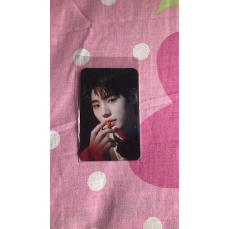 border day one mecima pob pc sunghoon