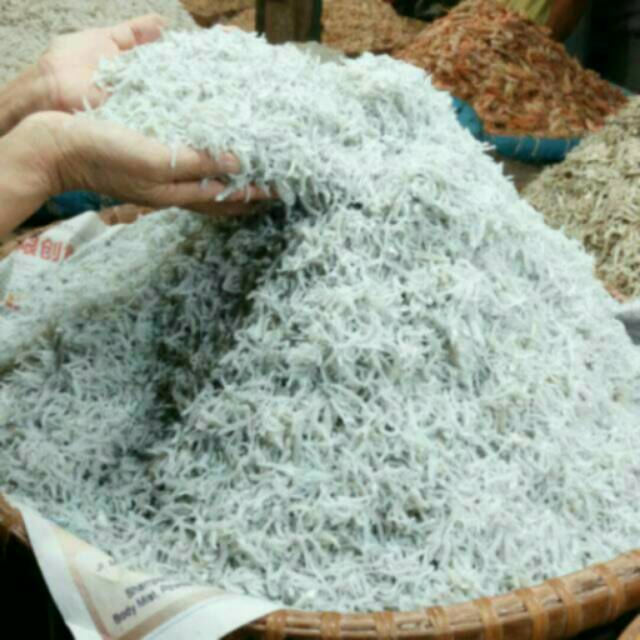 

Ikan teri medan