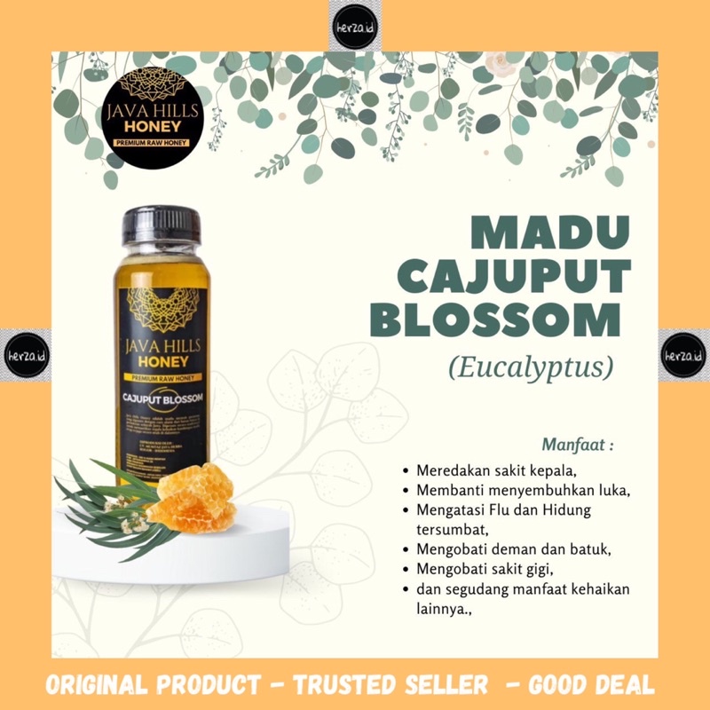 

Madu Cajuput Blossom Java Hills Honey 350 gr - premium raw honey madu mentah murni asli herbal mumtaz javahills organik 350gr 350 gr