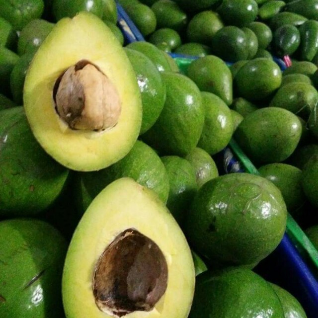 

Alpukat Mentega premium ( 1kg = 2-4 buah) / jawa