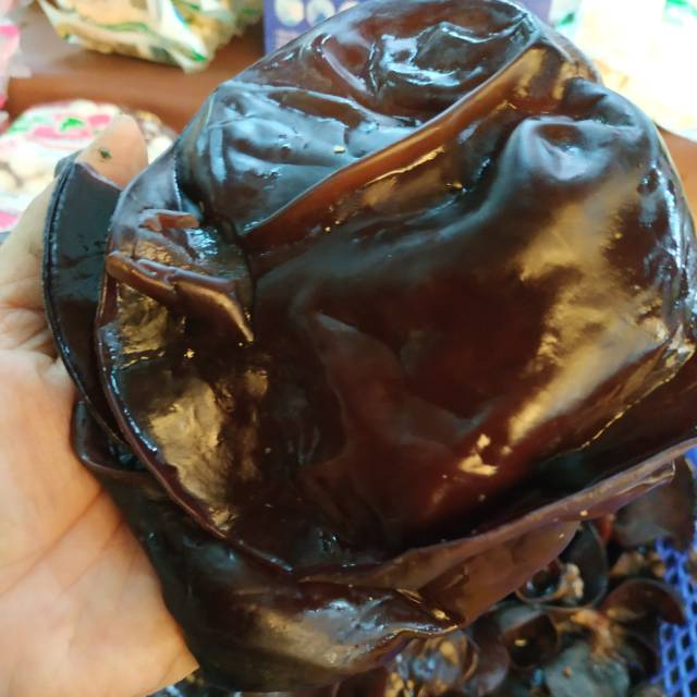 

[250gr] Jamur Kuping Basah / Fresh