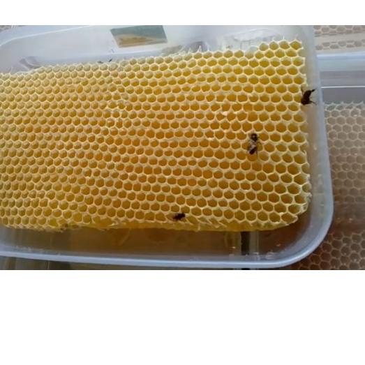 

BAYAR DITEMPAT✔️Madu sarang Asli 100% honeycomb[500gr]|RA5