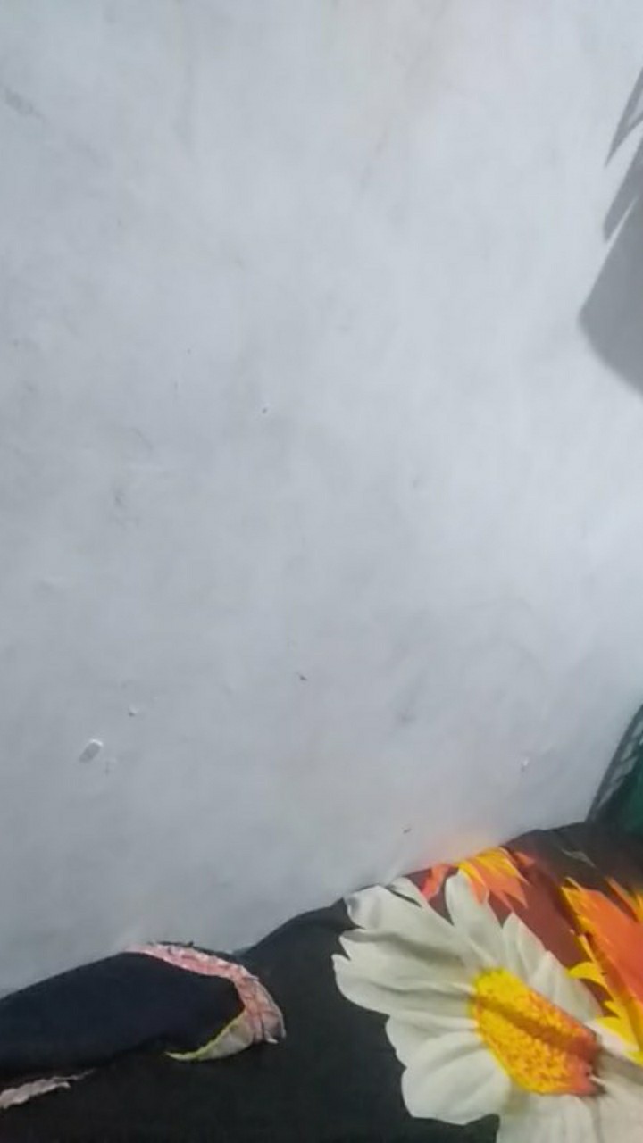 Multibed Springbed Central Murah Fullset 120x200 120 X 200 Harga Pabrik