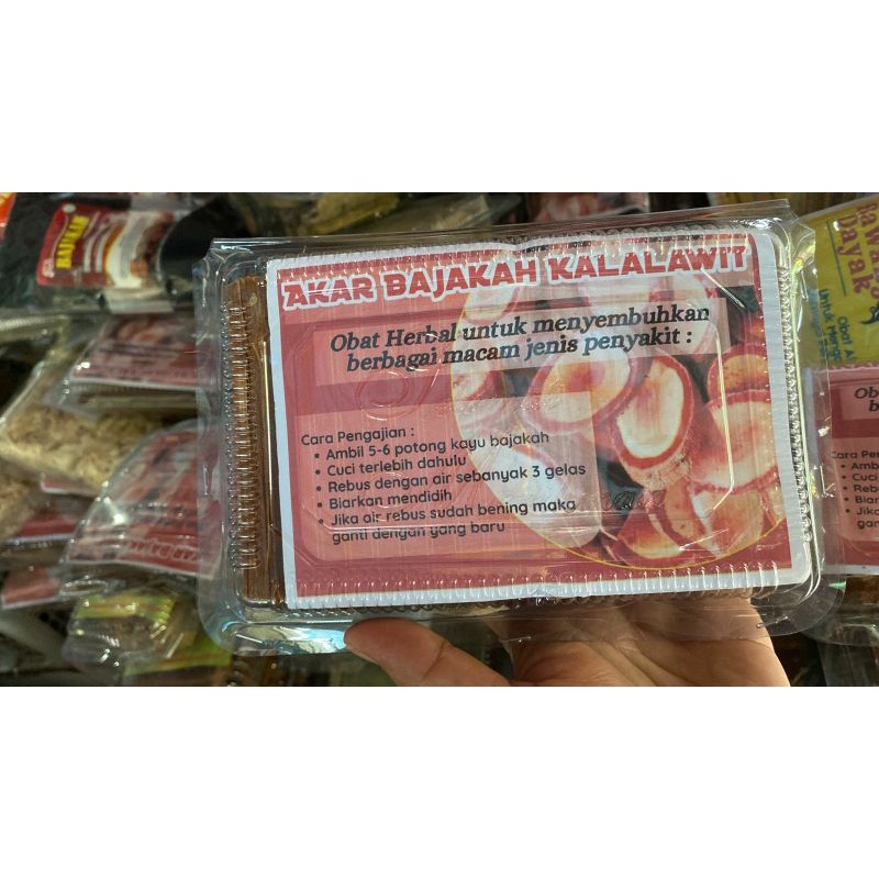 akar bajakah, bajakah, kayu bajakah, akar kayu bajakah, obat kanker, herbal bajakah, herbal kalimant