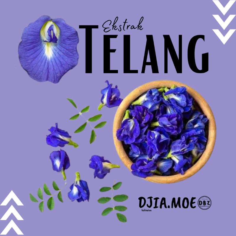 

Ekstrak Bunga Telang INSTAN