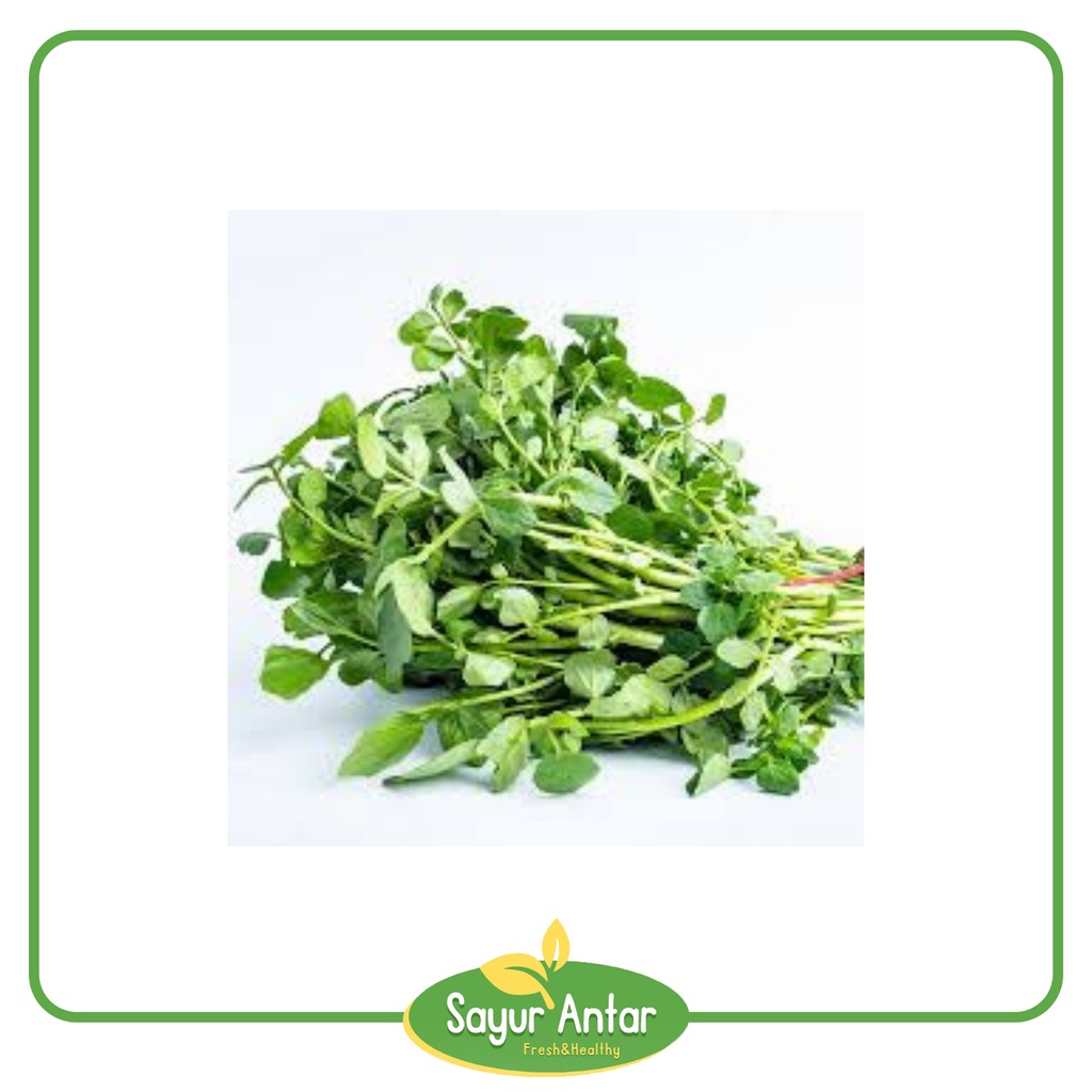 

Selada Air / Jukut | Sayur.Antar | Free Ongkir Bnaudng Cimahi