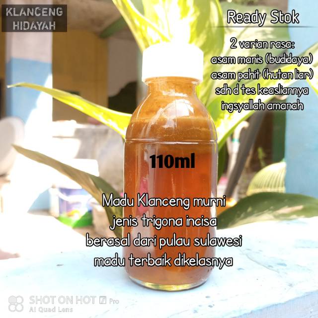 

Madu klanceng asli jenis insica