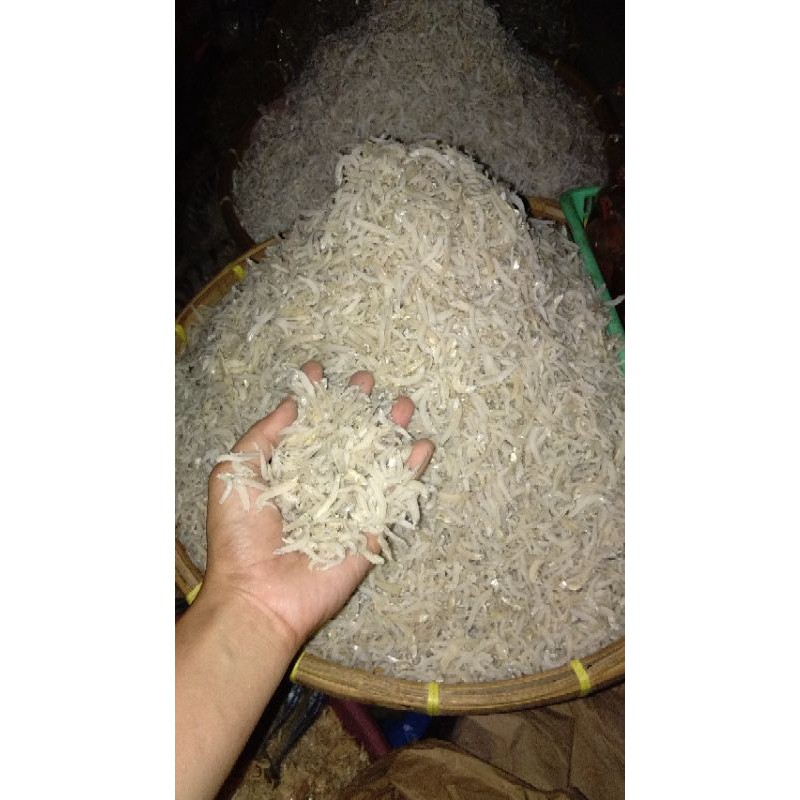 

Ikan Teri Nasi