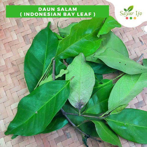 

Daun Salam 50 Gram Fresh Indonesian Bay Leaf Sayur Hijau Segar Bumbu Rempah Masak Dapur