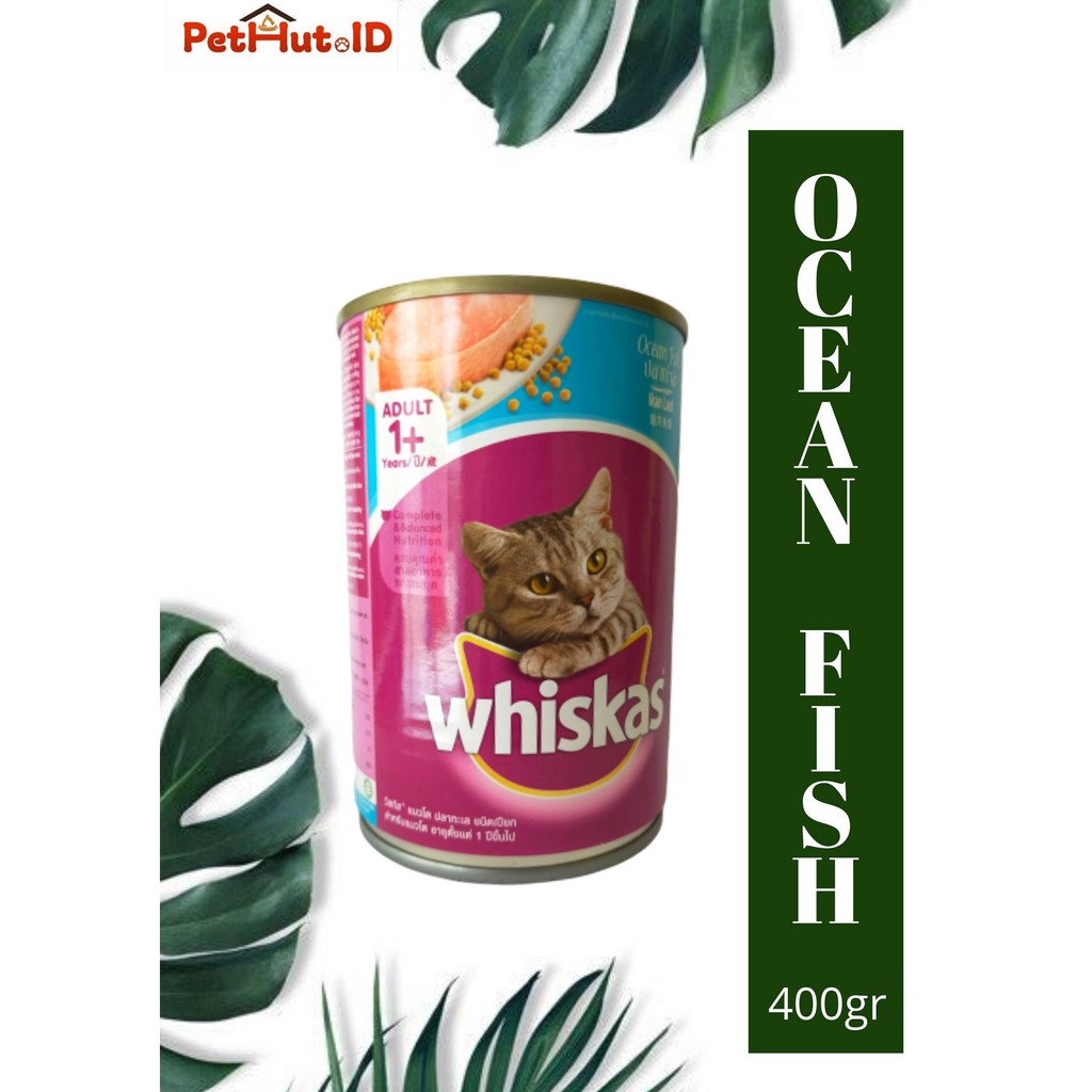 Wet food Whiskas ocean fish 400gr/ whiskas kaleng ocean fish makanan