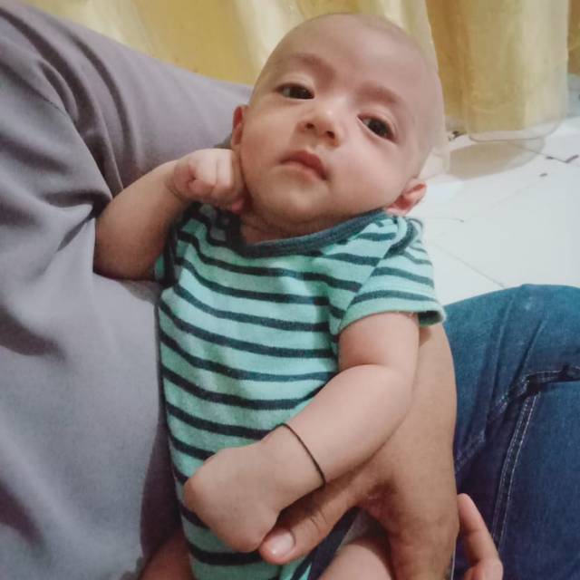 nisa08127582782