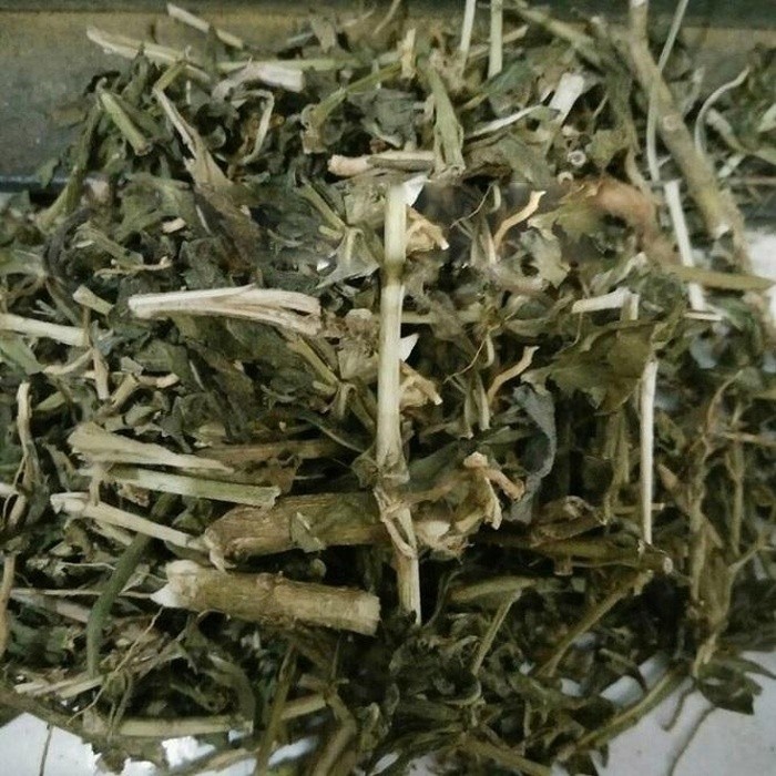 

Daun Tapak Dara Kering 500gram Herbal Alami