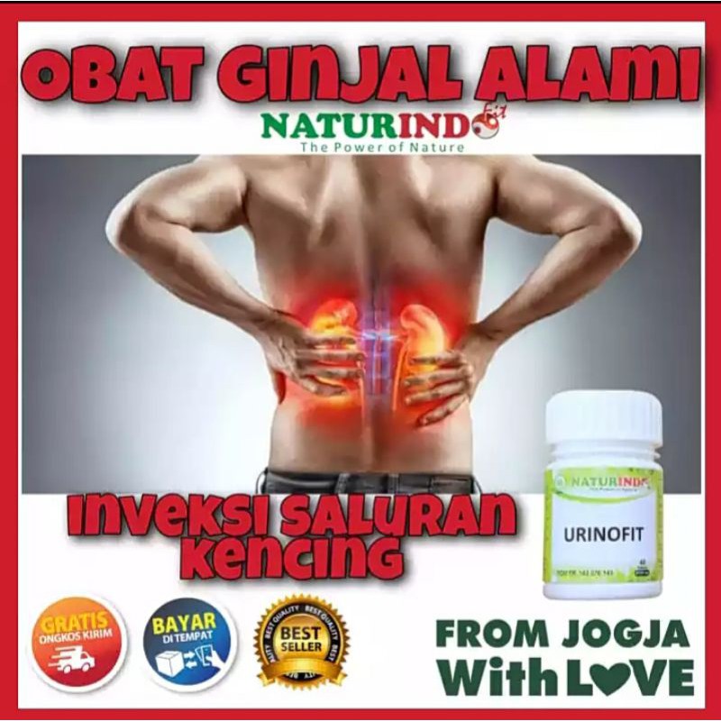 OBAT GINJAL BATU GINJAL RADANG GINJAL GINJAL BENGKAK PALING AMPUH