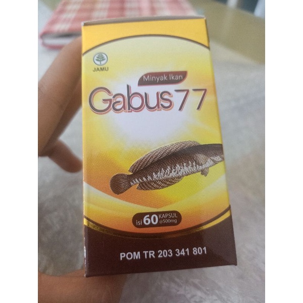 minyak ikan gabus 77