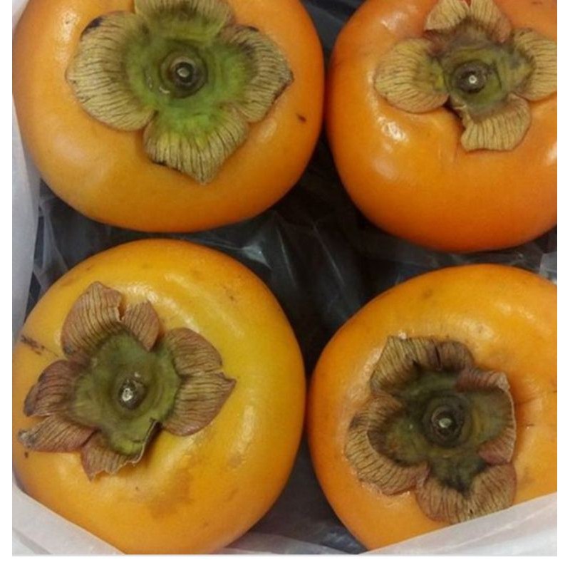 

kesemek import persimon