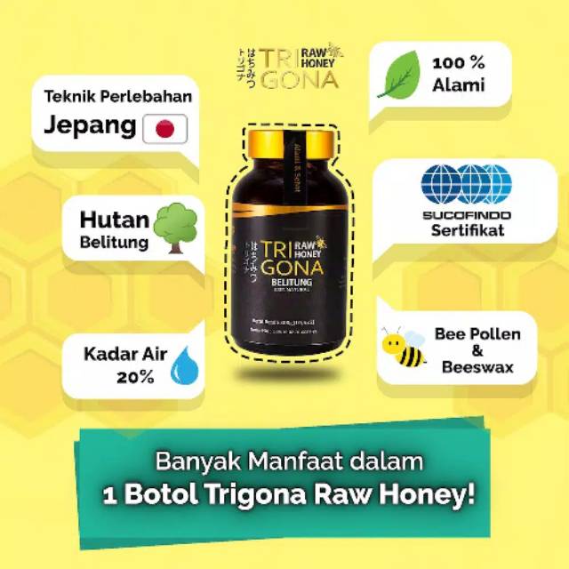 

TRIGONA RAW HONEY