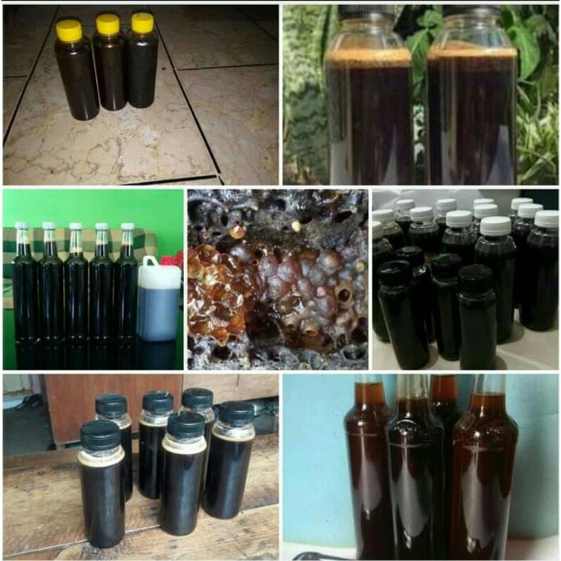 

Madu Klanceng Tanah Madu Hutan Murni Asli