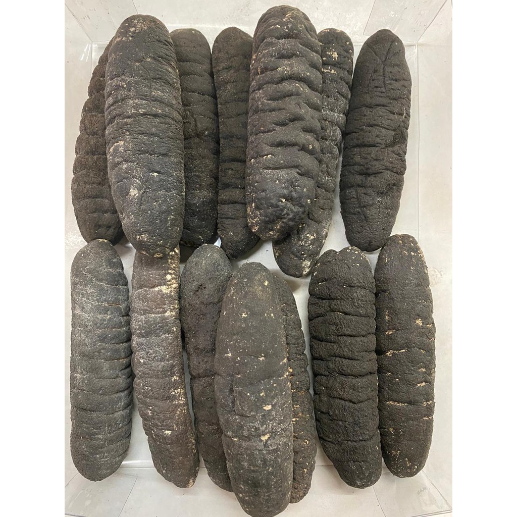 

Teripang kering / Haisom gosok / 1 kg