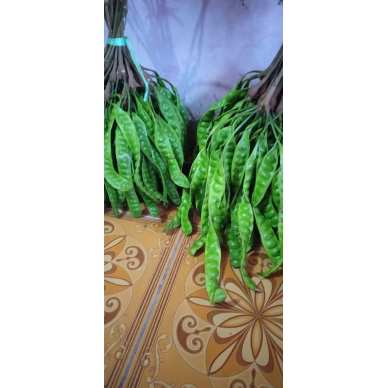 

petai / pete / sayur