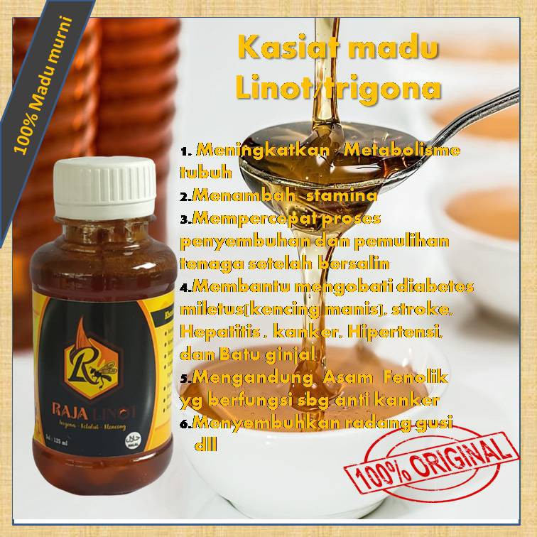 

Madu Linot Trigona asli