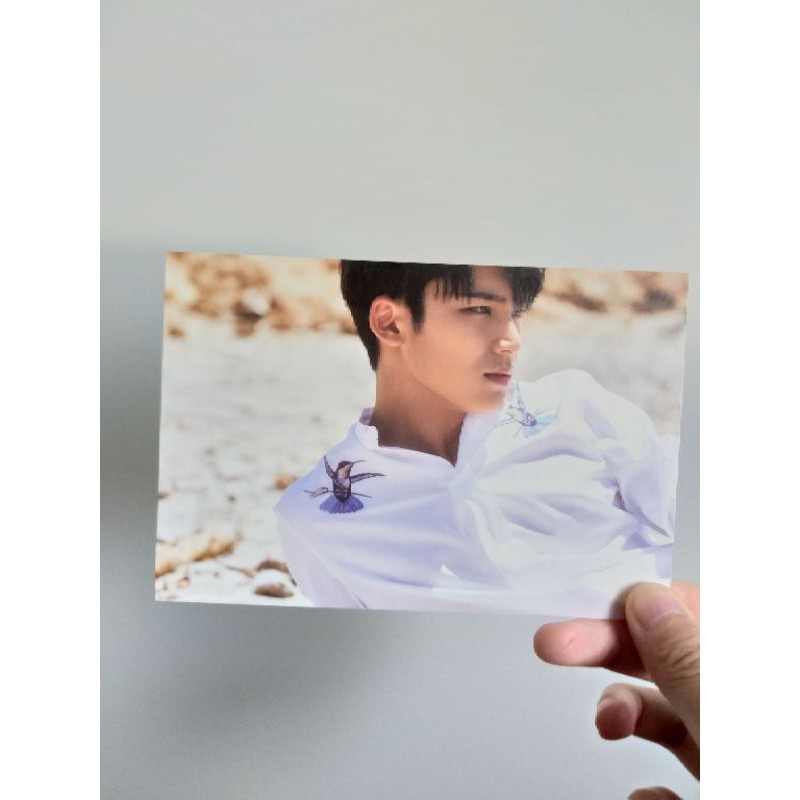 Seventeen SVT AL1 MINGYU POSTCARD ONLY