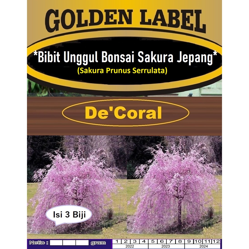 Bibit Bonsai Sakura Jepang Prunus Serrulata|Benih Bonsai Prunus Serrulata