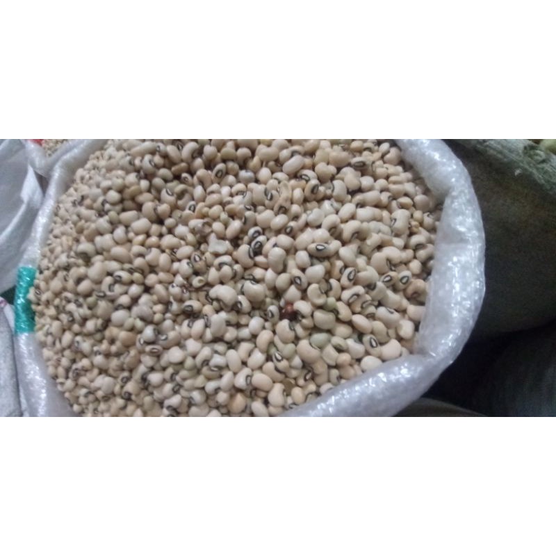 Kacang Sayur / Kacang Putih / Kacang Tolo/ Black Eye bean (500 gram) Import