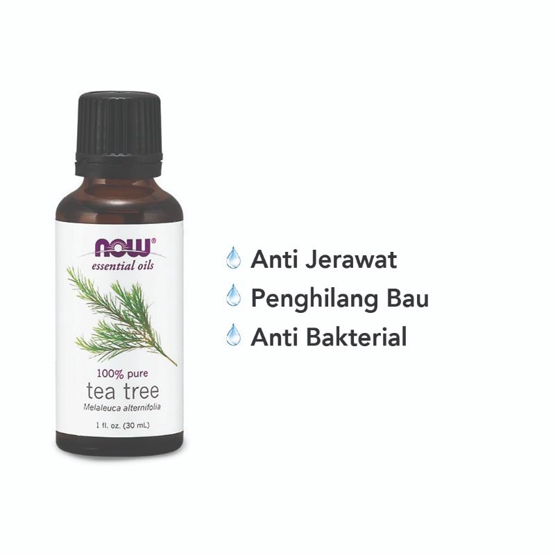 tea tree essential now oil 30 ml original