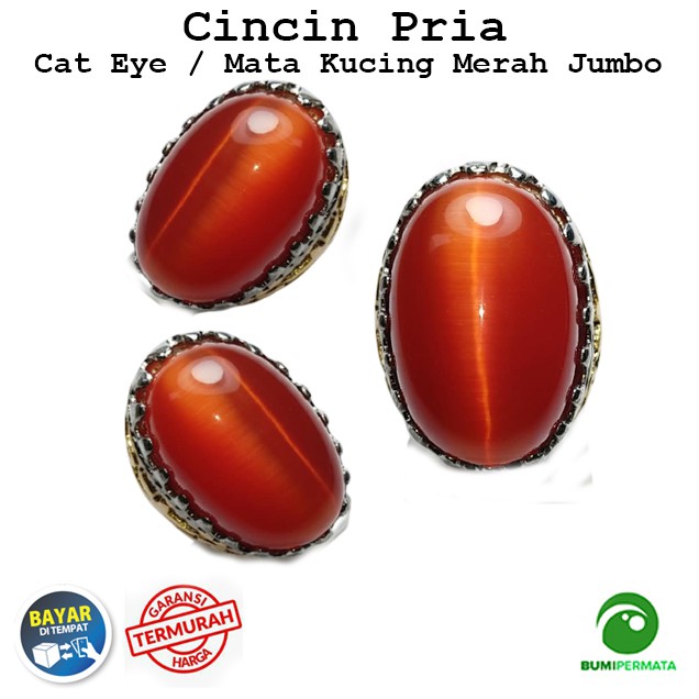Cincin Batu Akik Mata Kucing Merah Size Jumbo