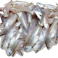 

IKAN TERI BASAH - PASAR KEMIRI
