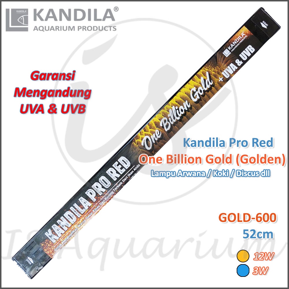 Kandila Pro Red One Billion Gold 600 52cm Lampu Celup Ikan Arowana