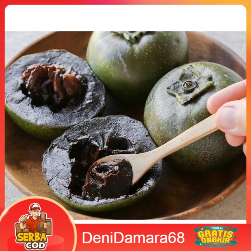 Bibit Buah Black Sapote