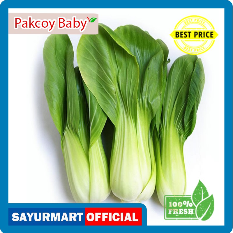 

Pakcoy Baby [100 gram]