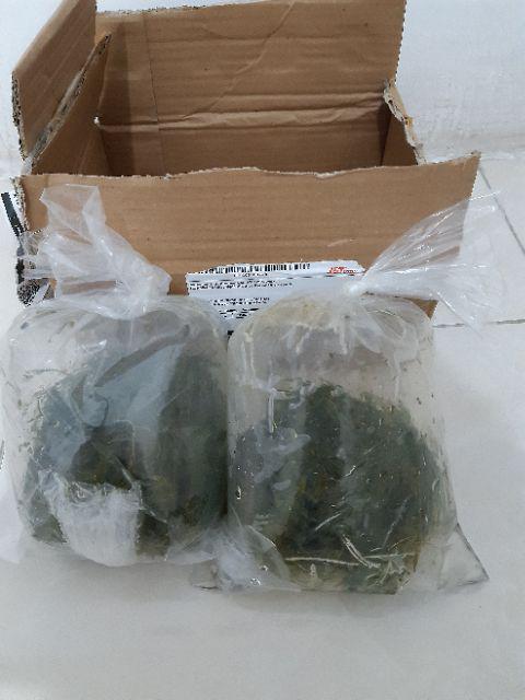 Ganggang Air Kolam Aquarium Aquascape