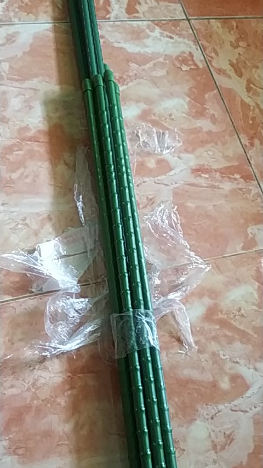 Plant Stake 11 X  90 Cm