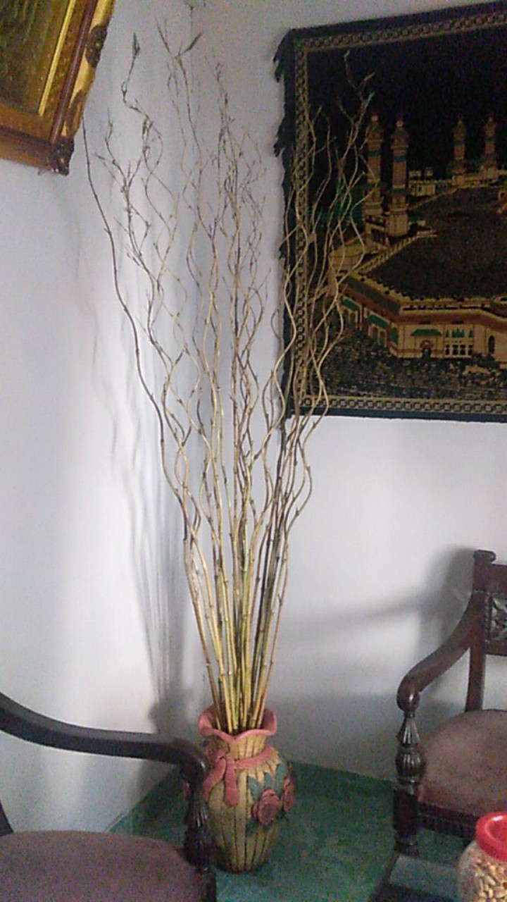 Satu Batang Bambu Ulir Polos Natural (min 15 Btg Bisa Mix Barang Lain)
