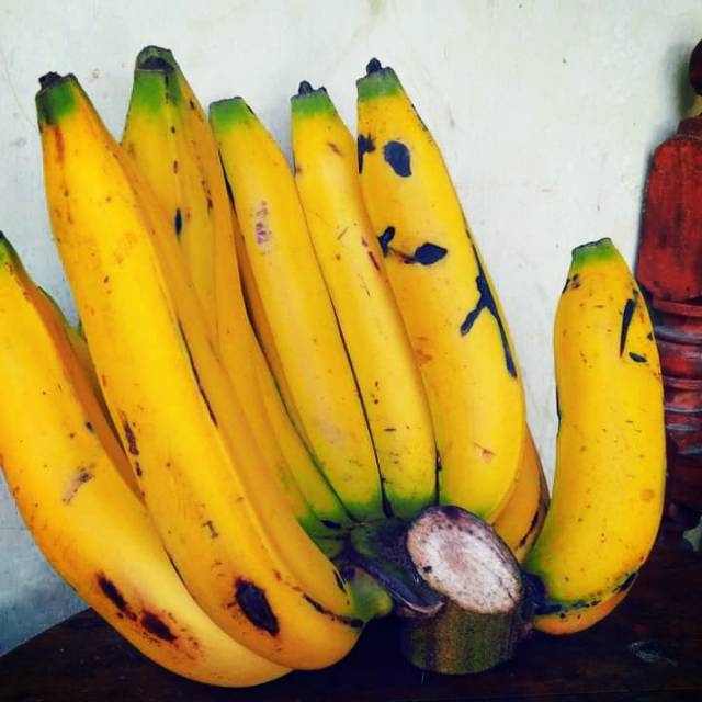 

Pisang ambon