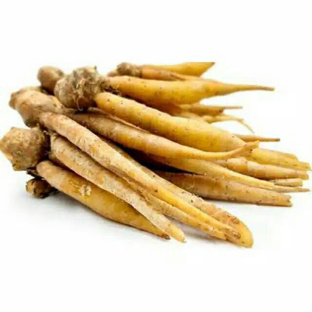 

Temu kunci sayur bayem murah dari desa (250gr)