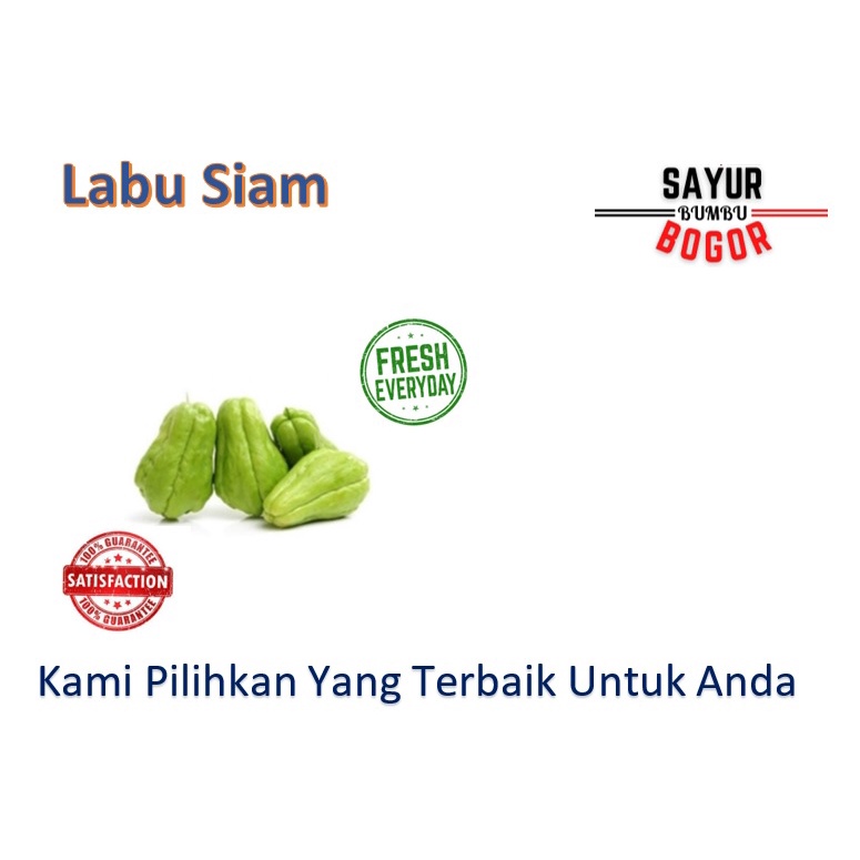 

Labu Siam Kecil / Gambas / Gambas Sayur