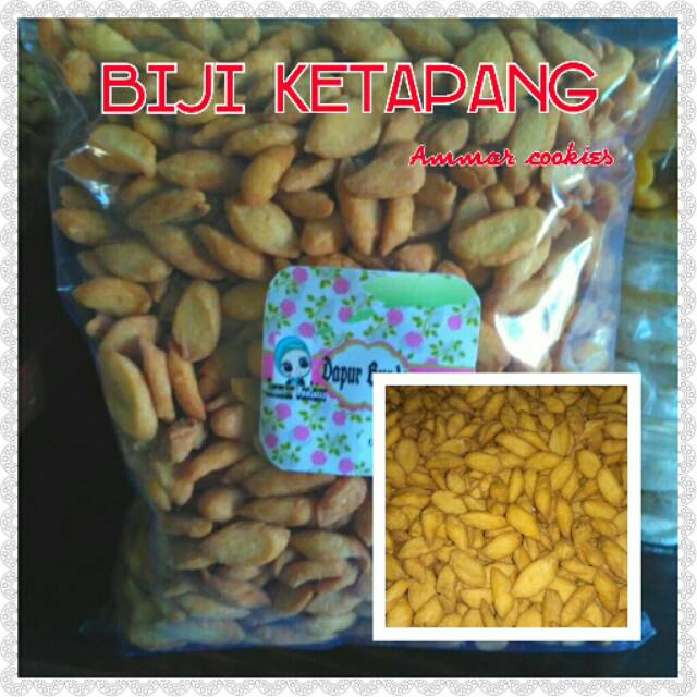 

Biji Ketapang