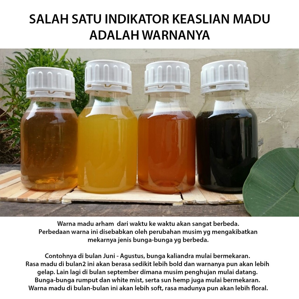 Madu Murni 750gr Madu Asli Langsung Dari Peternak Shopee Indonesia